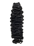 VIRGIN BURMESE CURLY