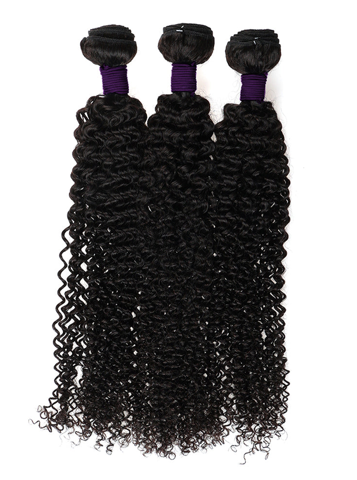 BURMESE CURLY