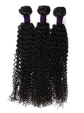 BURMESE CURLY